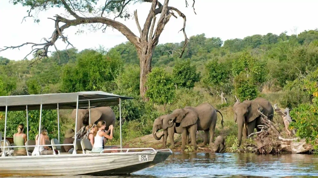 Unique safaris destinos botsuana chobe 1