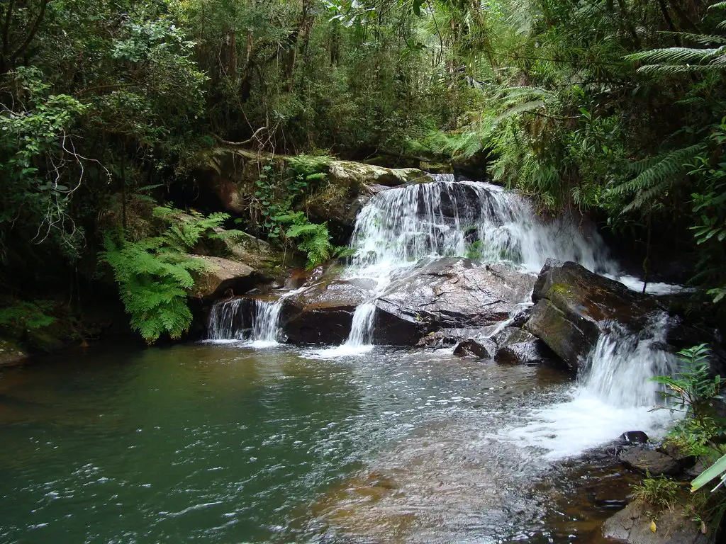 Unique safaris destinos madagascar andasibe 13