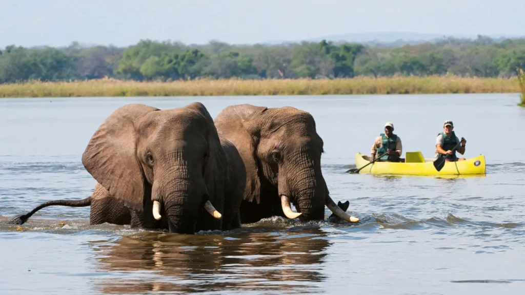 Unique safaris destinos zambia lower zambezi 6