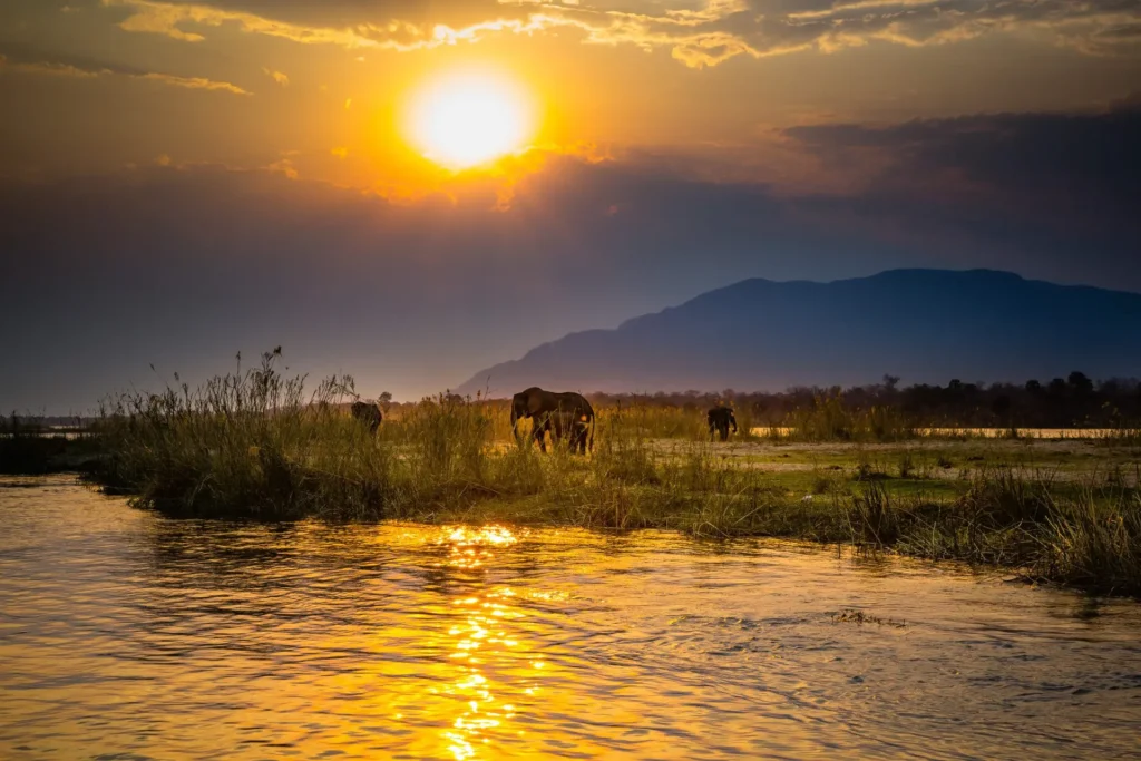 Unique safaris destinos zimbabue rio zambeze