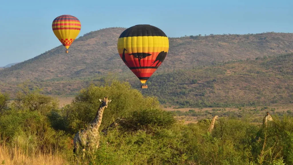 Unique safaris experiências africa do sul 19