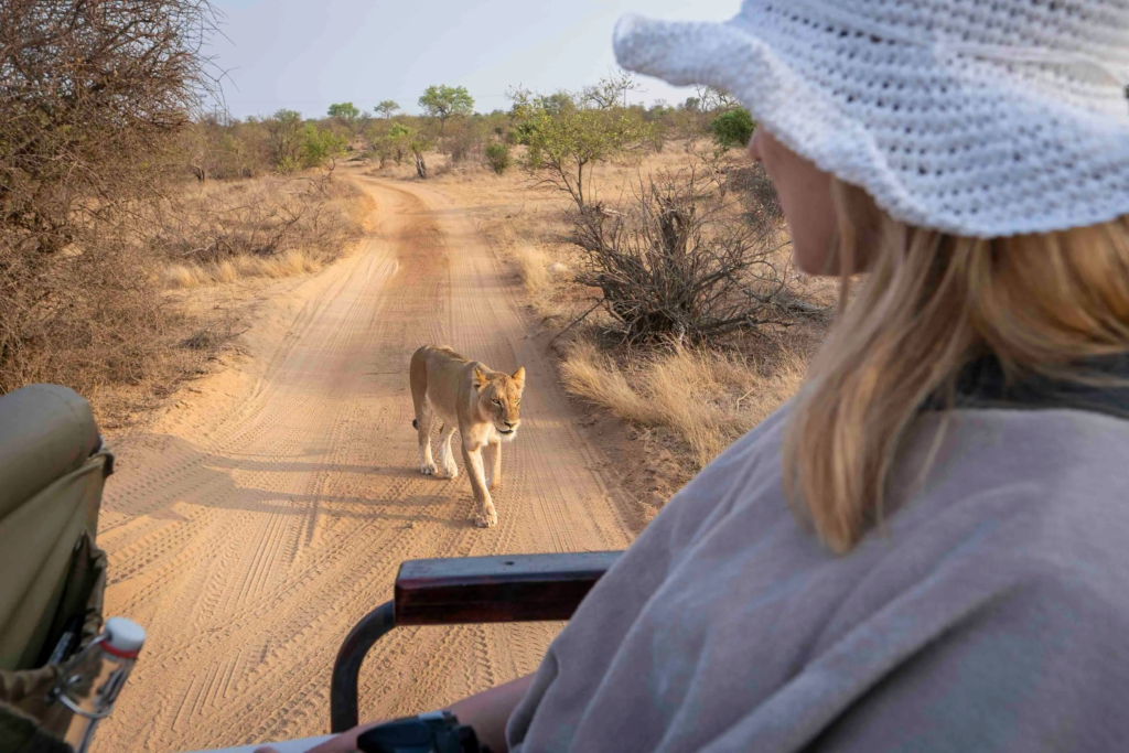 Unique safaris experiências africa do sul 3