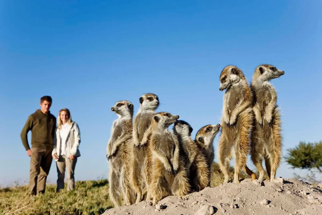 Unique safaris experiências botsuana 15