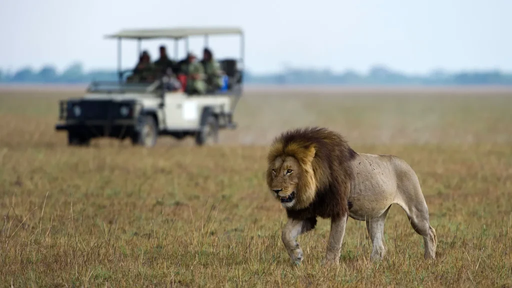 Unique safaris experiências zambia 13