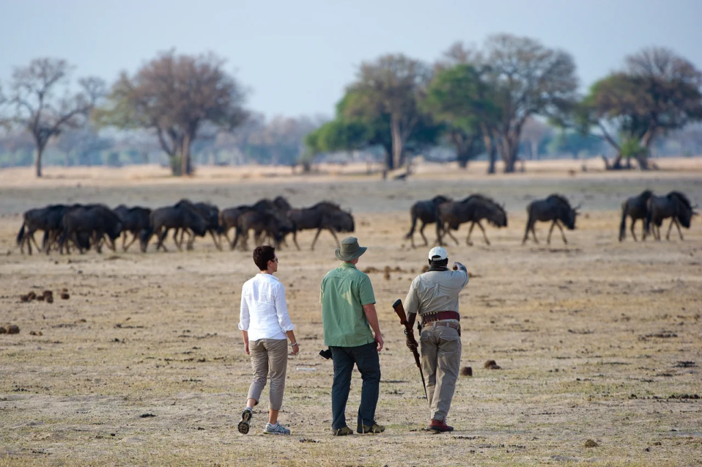 Unique safaris experiências zimbabue 1
