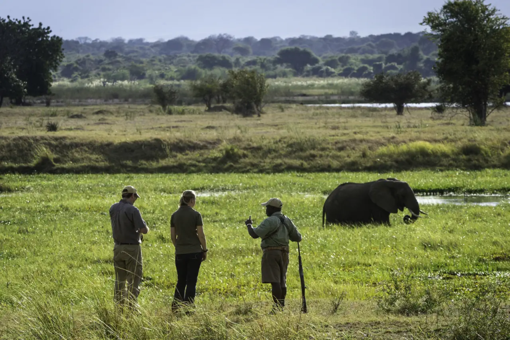 Unique safaris experiências zimbabue 3