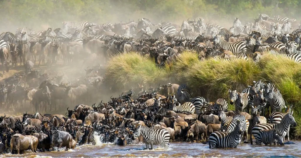 Unique safaris destinos quenia masai mara 12