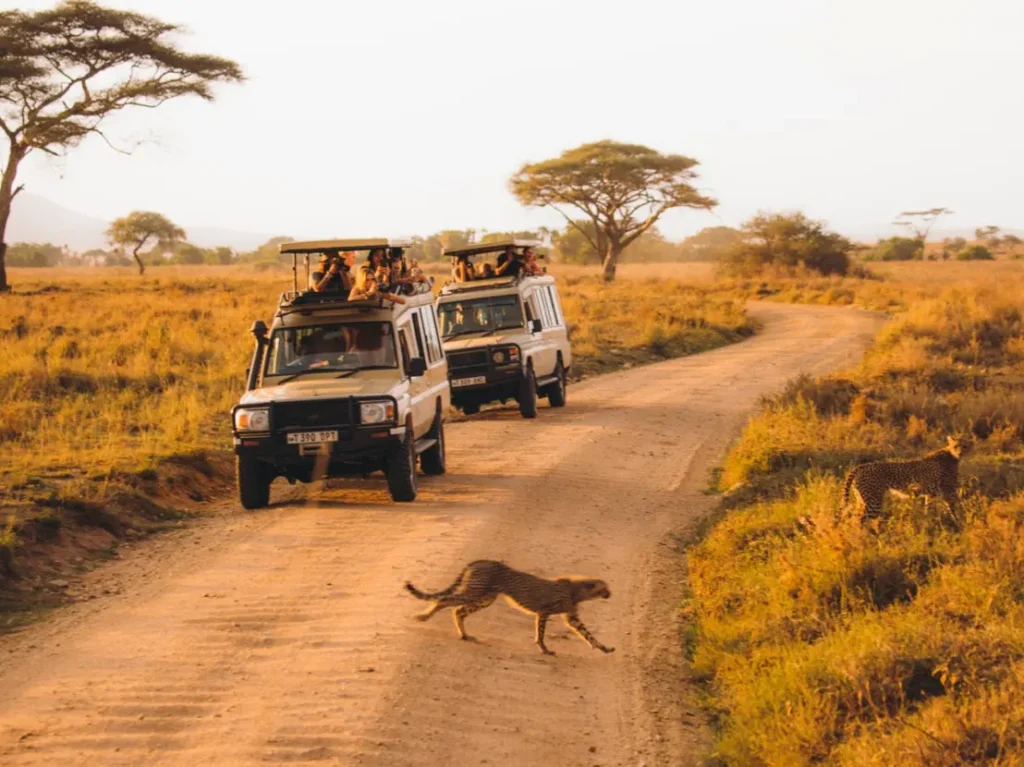 Unique safaris destinos tanzania serengeti 11