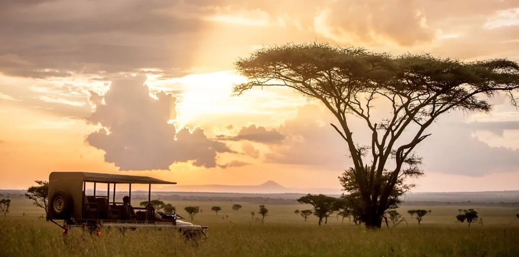 Unique safaris destinos tanzania serengeti 18