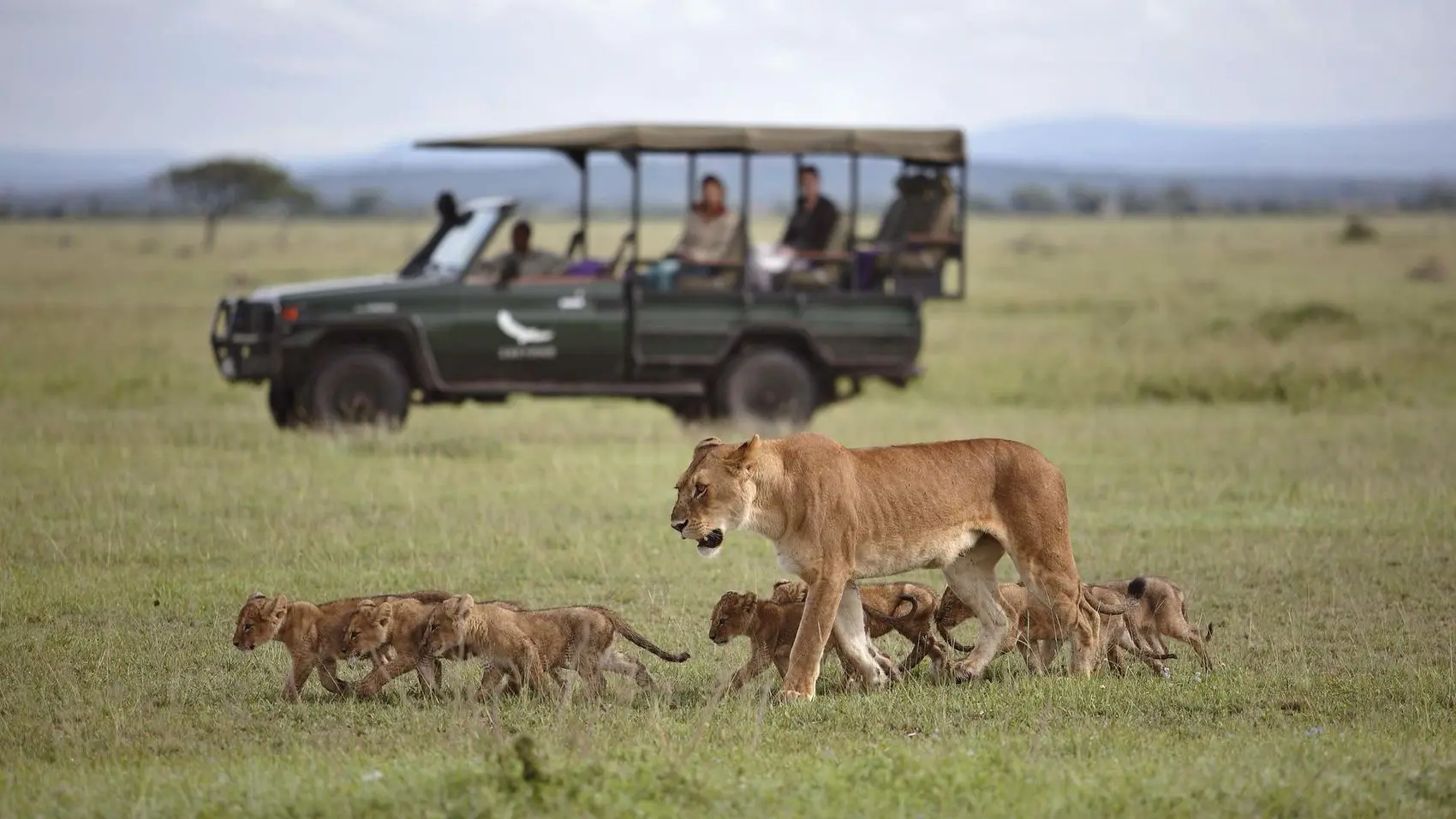 Unique safaris destinos tanzania serengeti 19