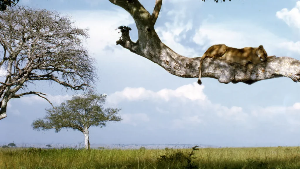 Unique safaris destinos uganda parque queen elizabeth 6