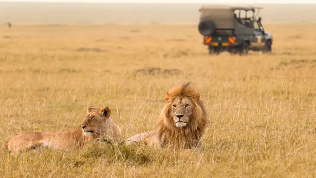 Unique safaris experiências quenia 2