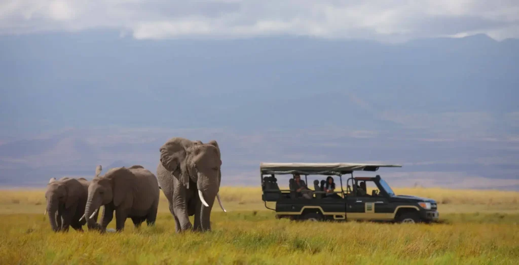 Unique safaris experiências quenia 6