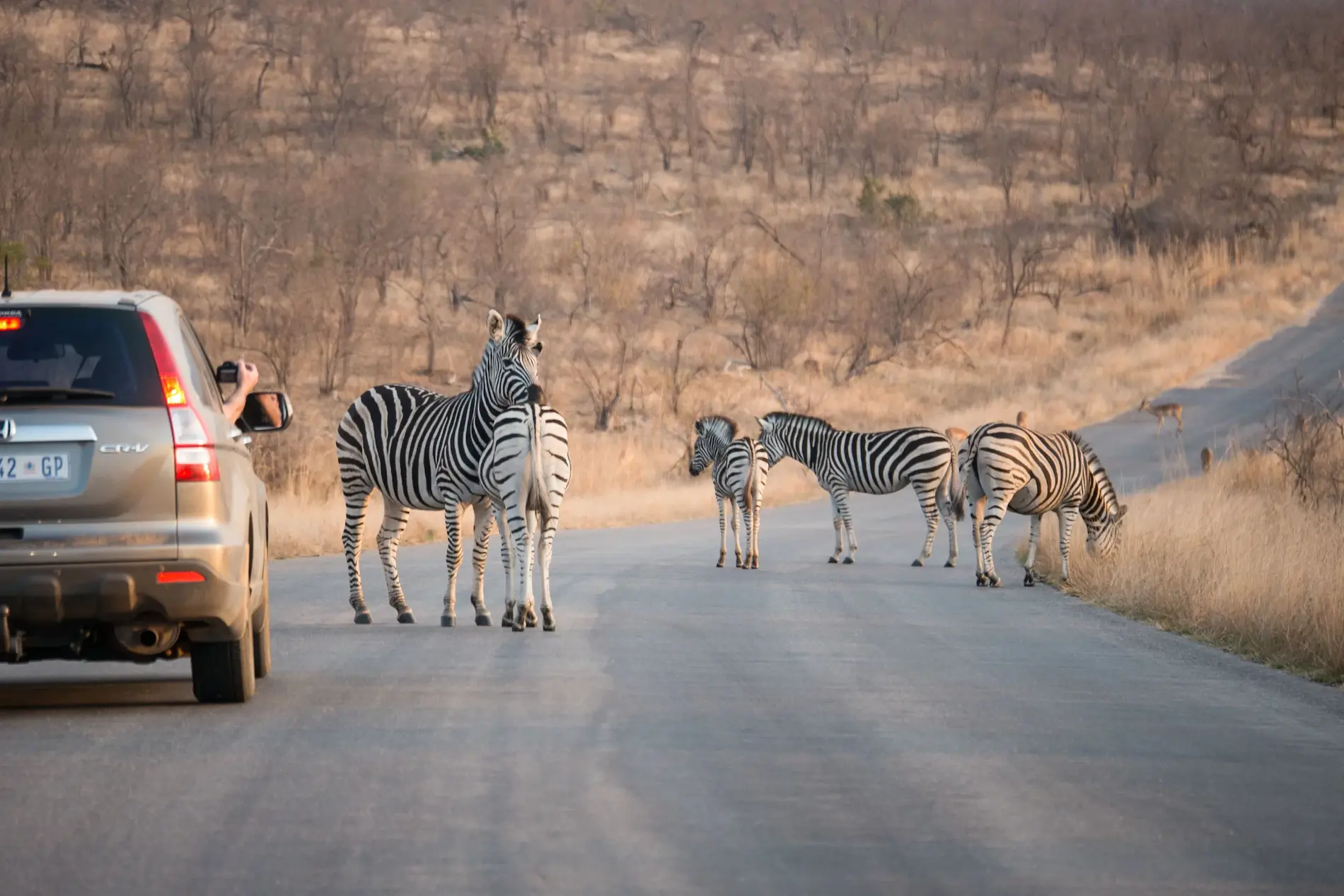 Safári no Kruger