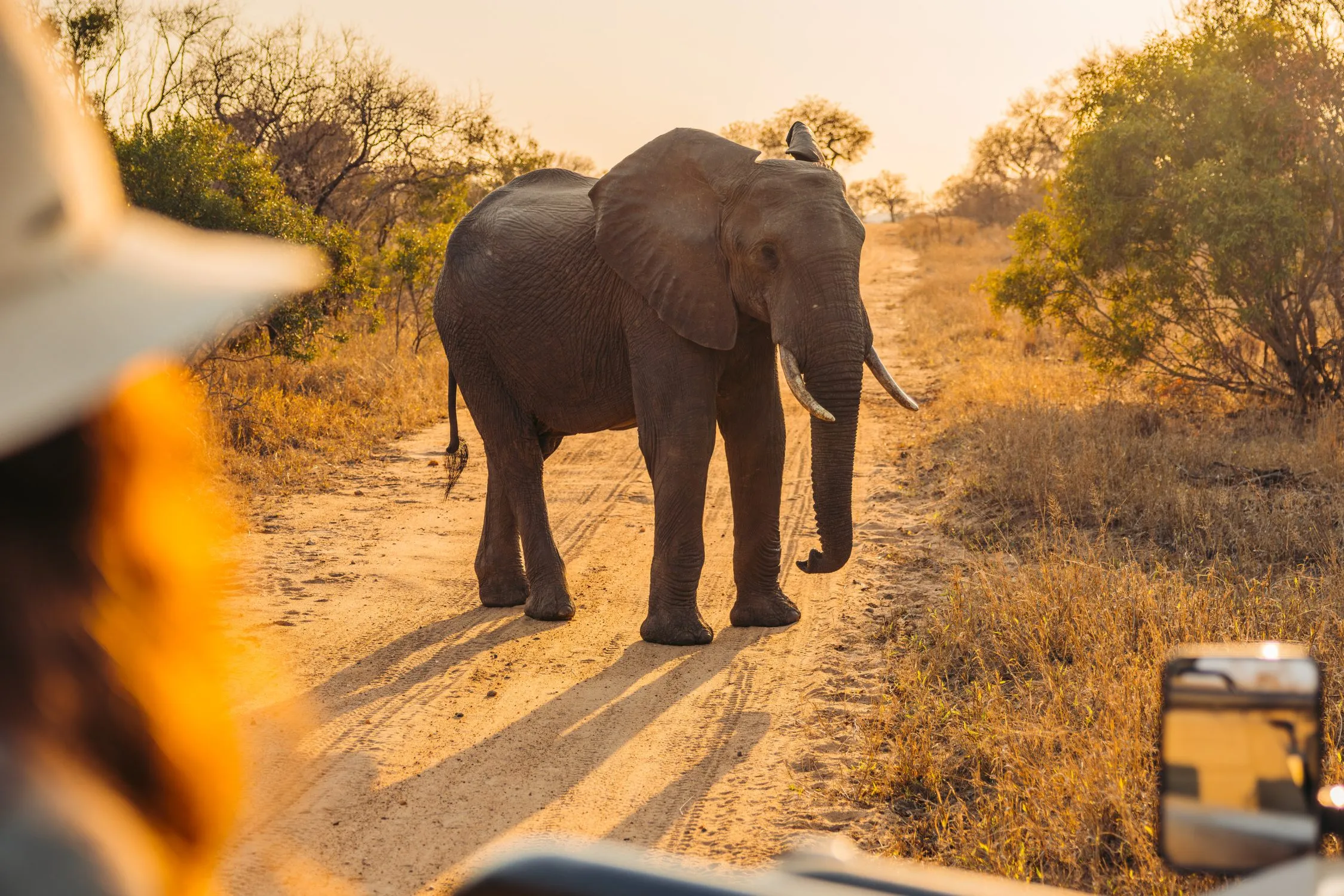 Unique Safaris Kamara House 4