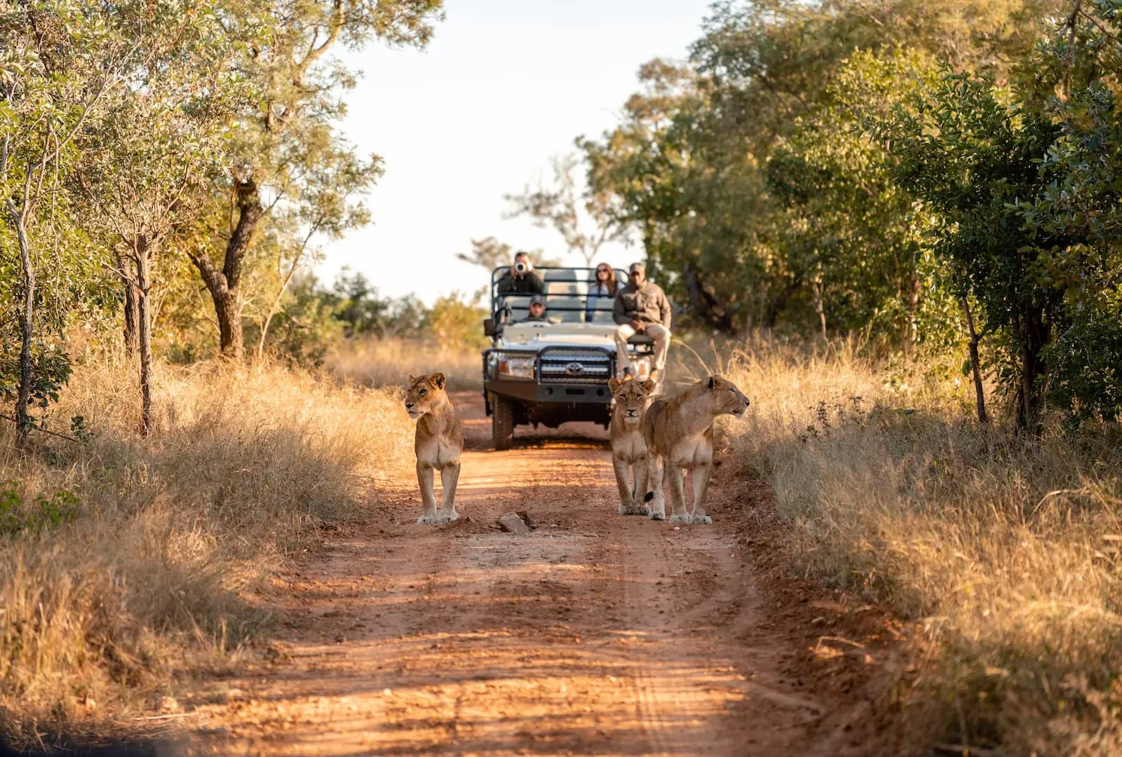 Unique Safaris Kapama Buffalo camp 11