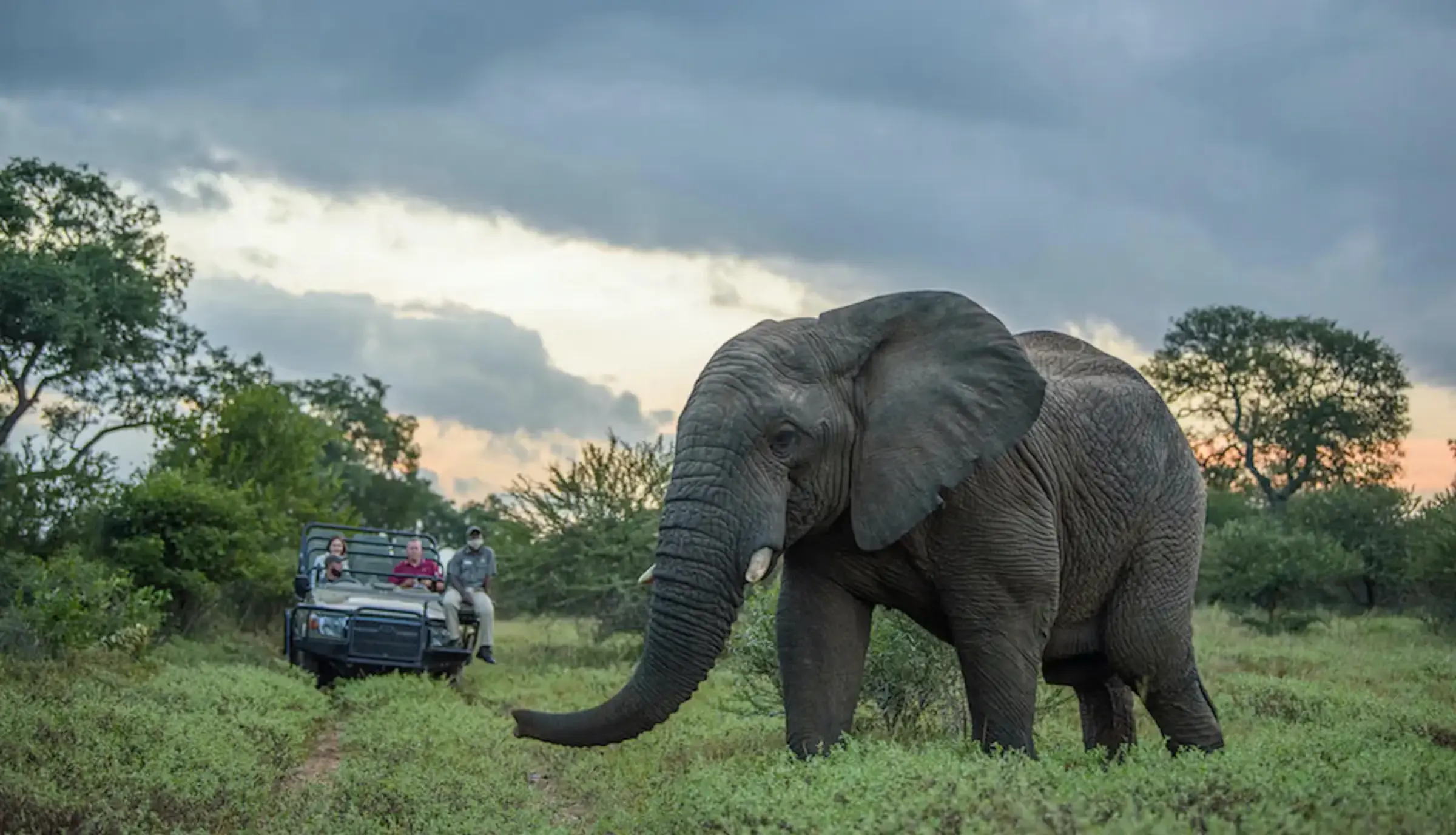 Unique Safaris Kapama Buffalo camp 9