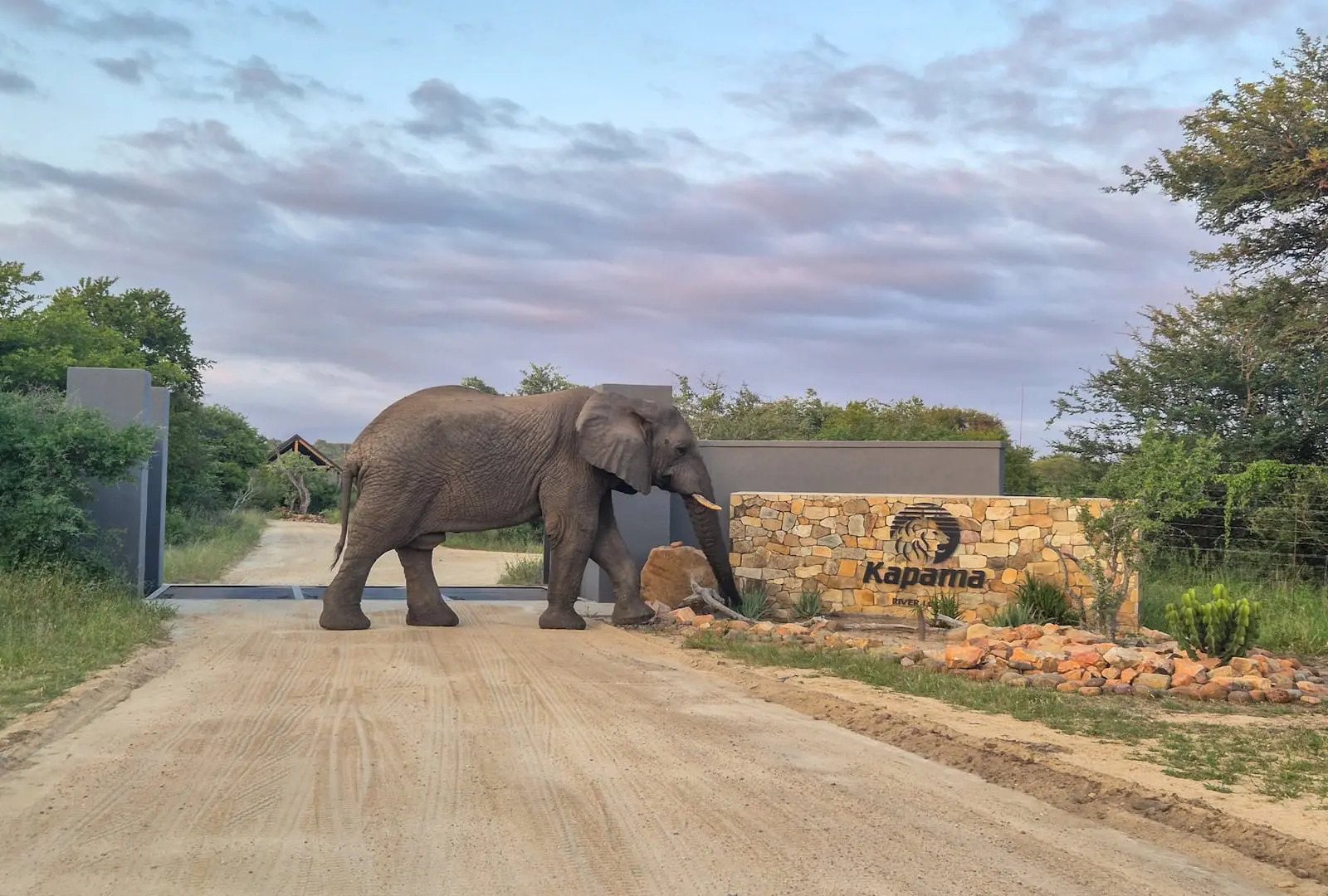 Unique Safaris Kapama River Lodge 16