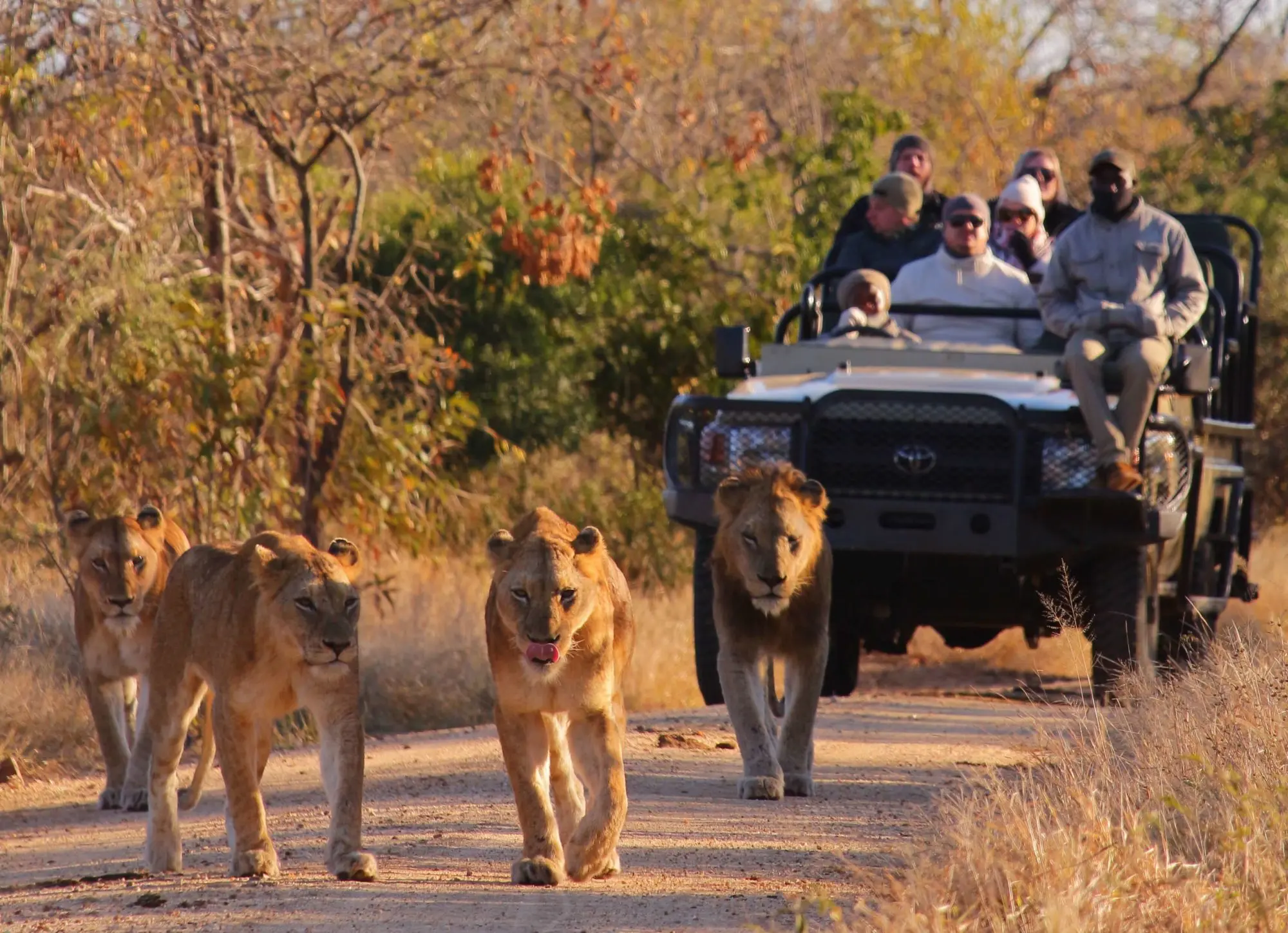 Unique Safaris Kapama River Lodge 20