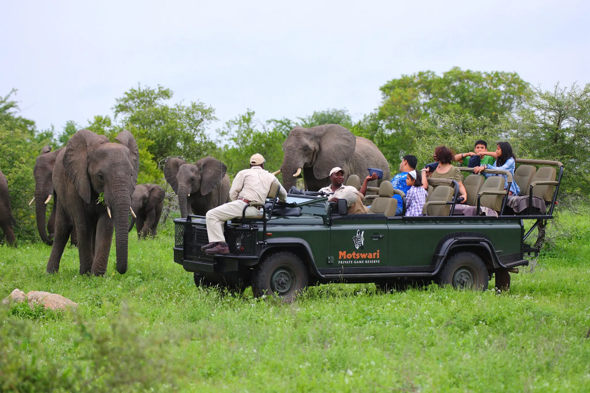 Unique Safaris Motswari 14