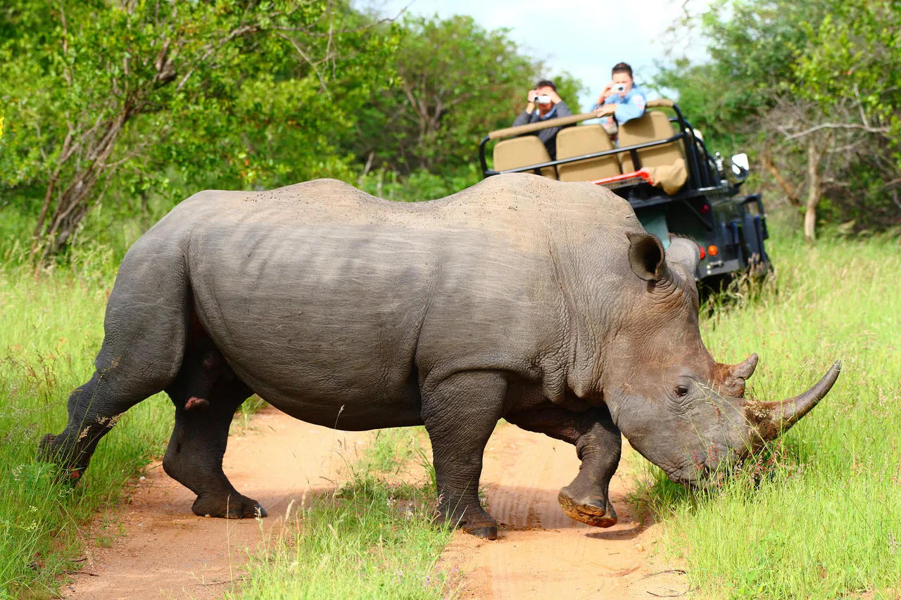 Unique Safaris Motswari 16