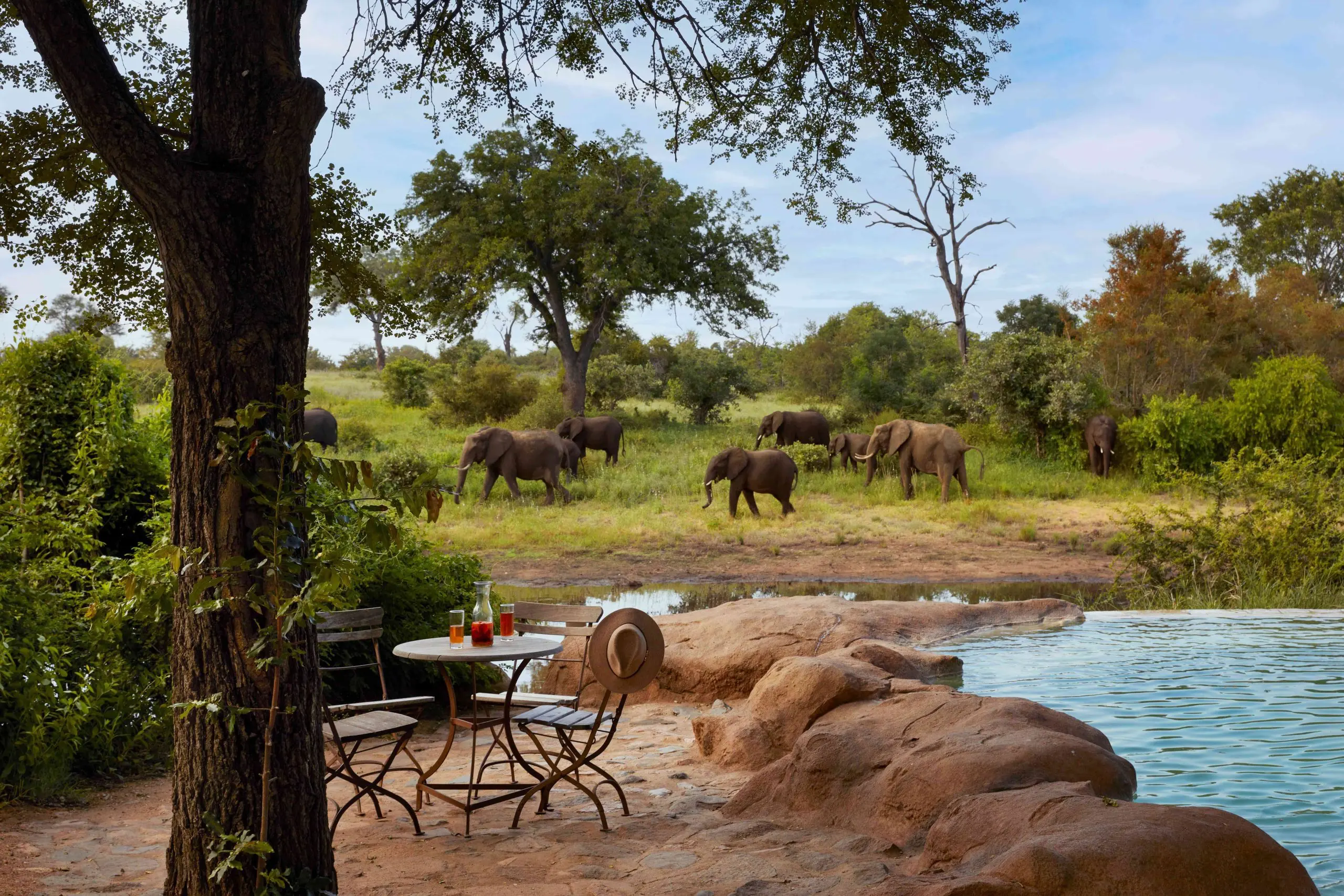 Unique Safaris Motswari 7