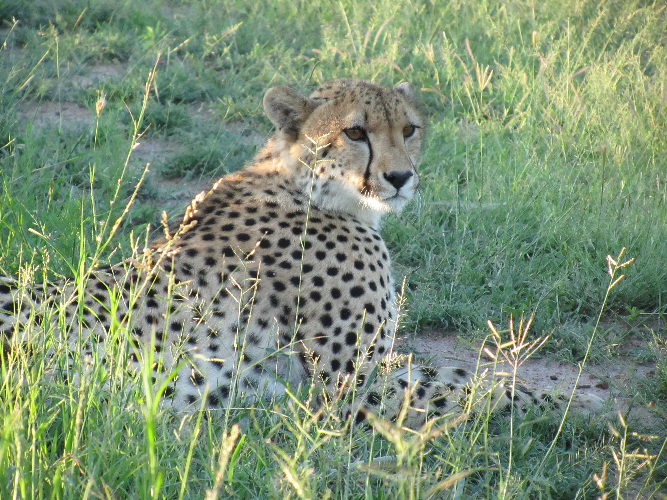 Unique Safaris Nkorho Lodge 3