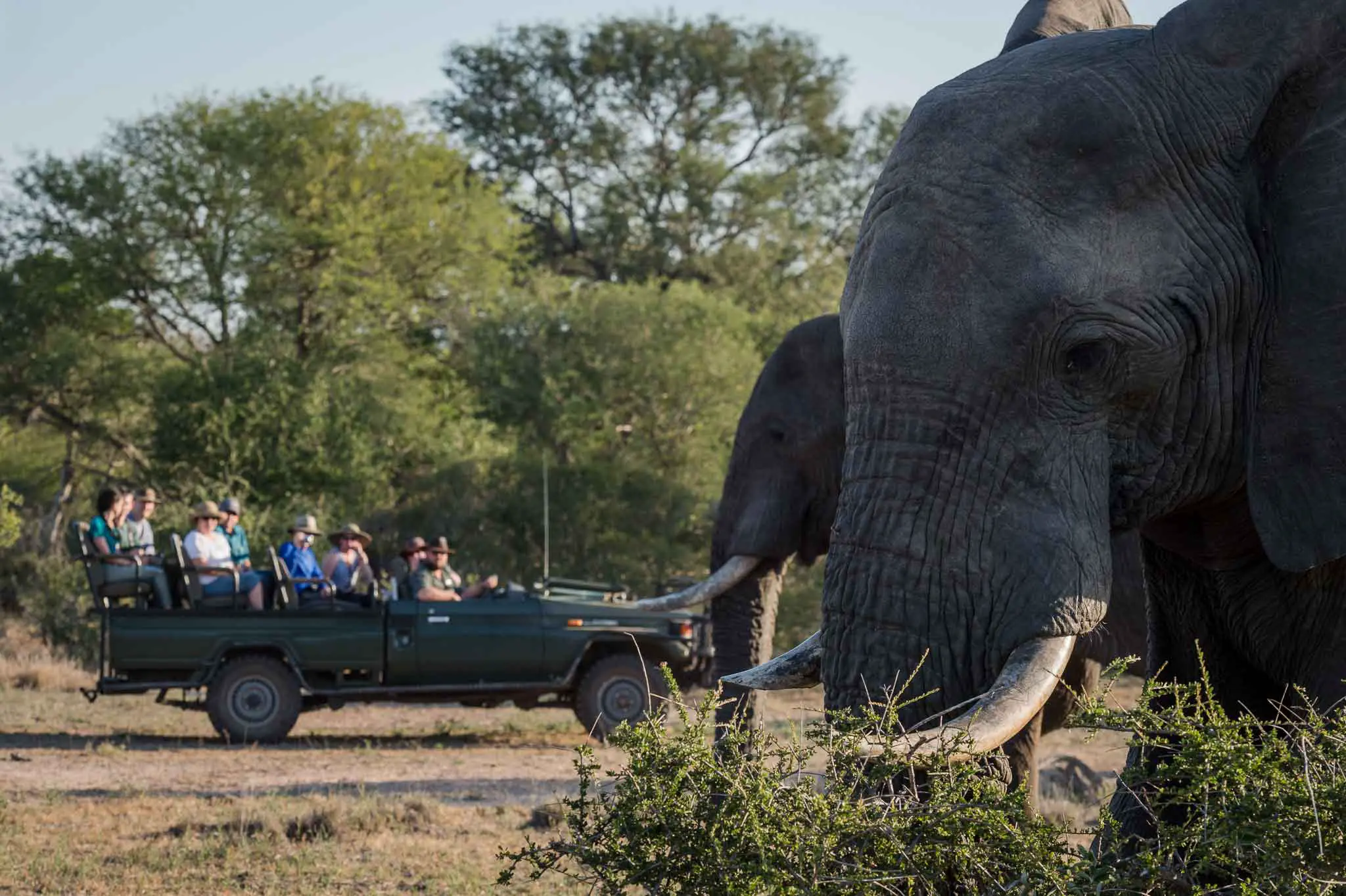 Unique Safaris Nthambo Tree Camp 26