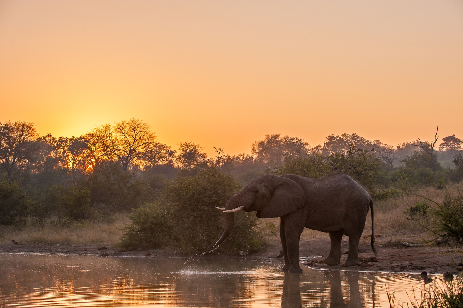 Unique Safaris Pondoro Game Lodge 1