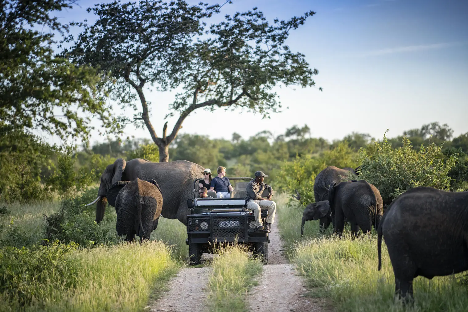 Unique Safaris Simbavati Hill Top 2