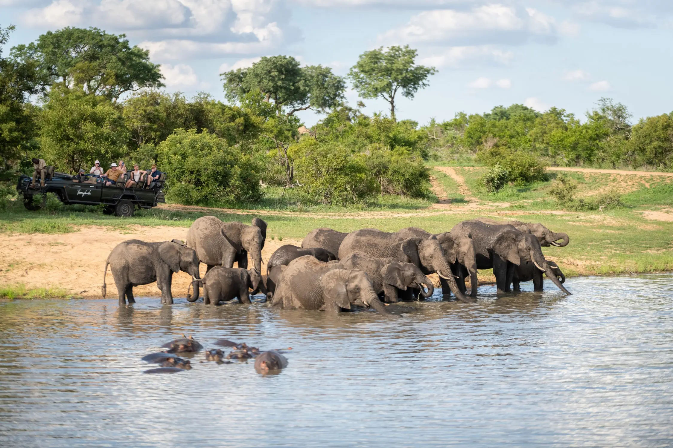 Unique Safaris Thornybush Game Lodge 3