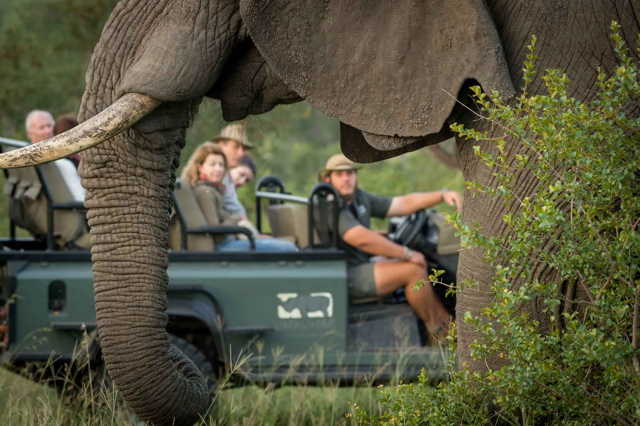 Unique Safaris Umkumbe Safari Lodge 11
