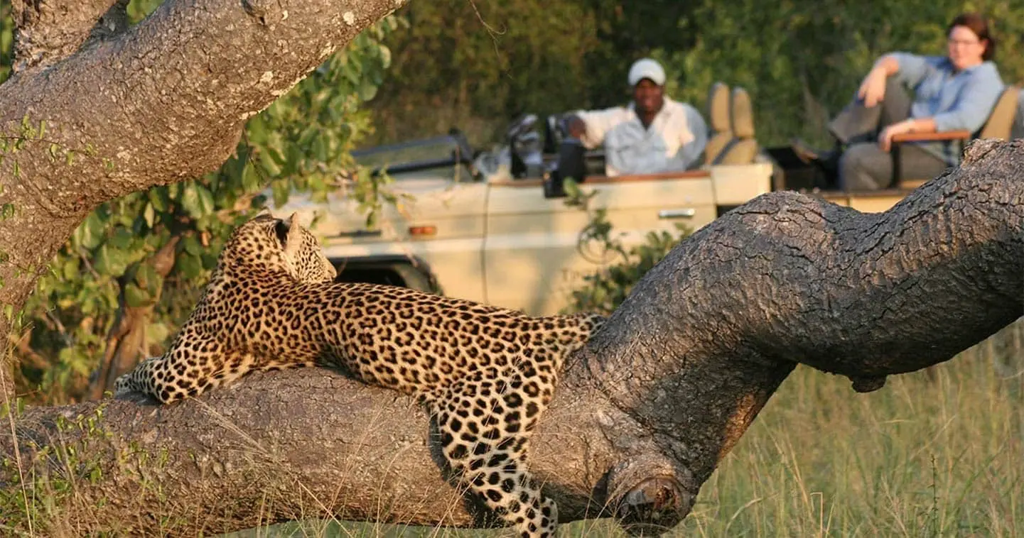 Unique Safaris Tintswalo Safari Lodge 5